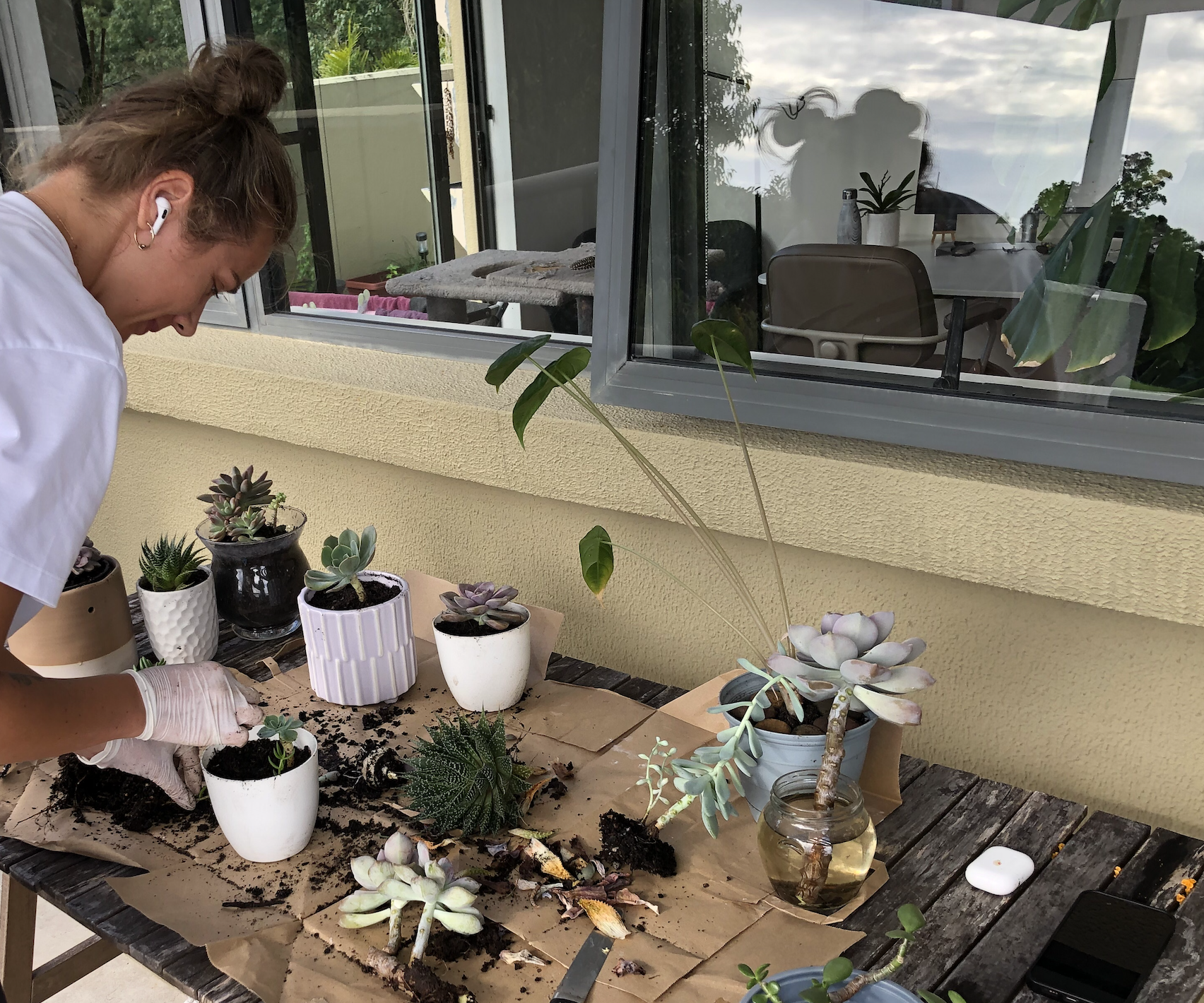 Plants on balcony